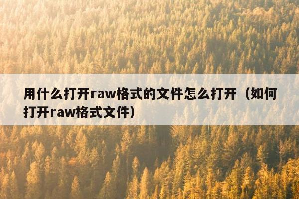 用什么打开raw格式的文件怎么打开（如何打开raw格式文件）