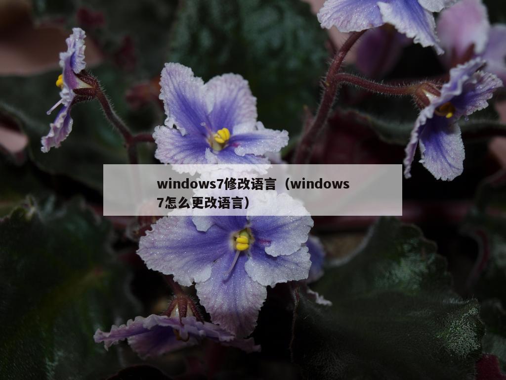 windows7修改语言（windows7怎么更改语言）