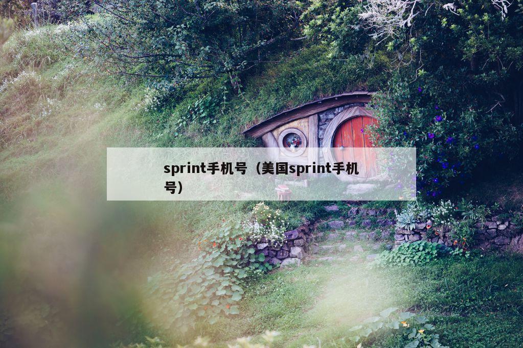 sprint手机号（美国sprint手机号）