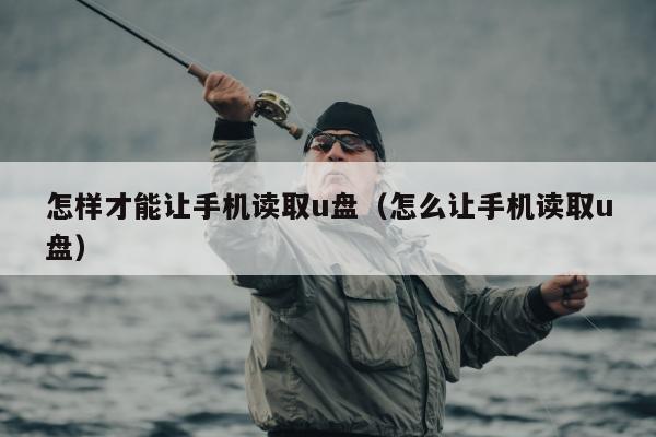 怎样才能让手机读取u盘（怎么让手机读取u盘）