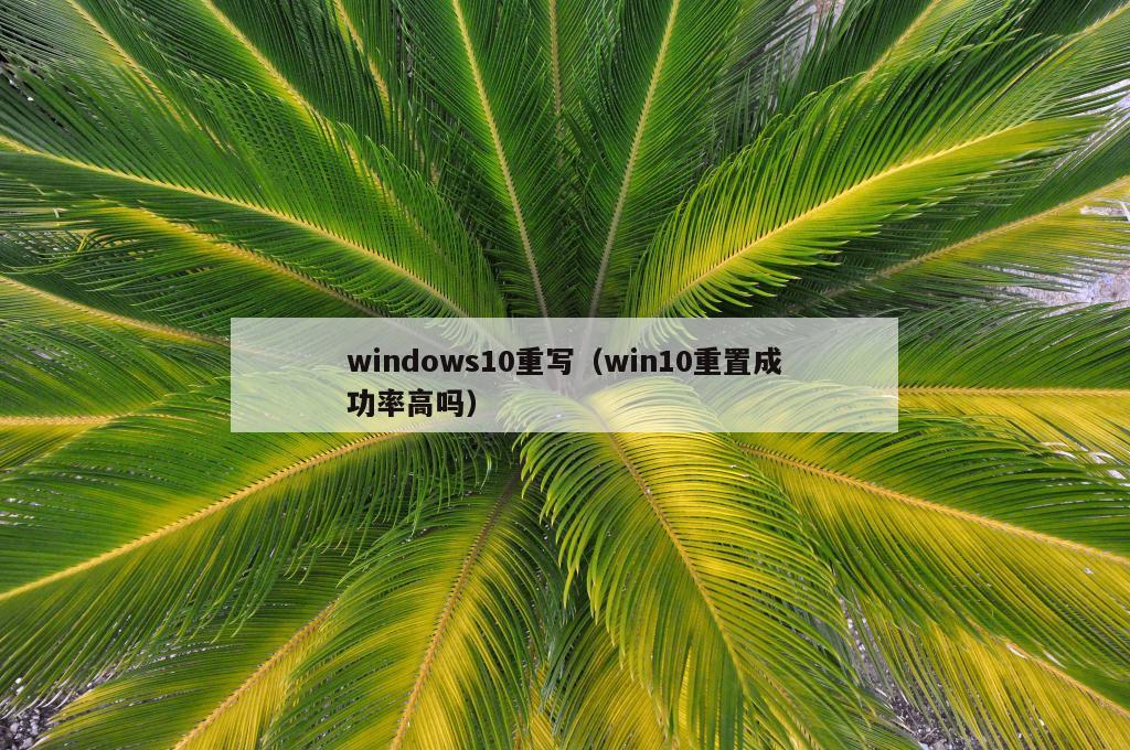 windows10重写（win10重置成功率高吗）