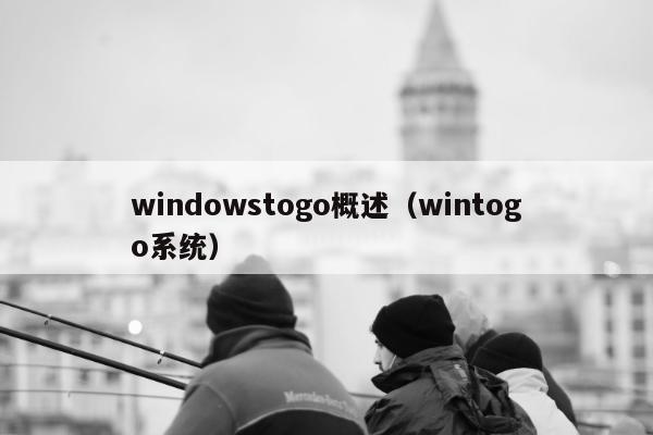 windowstogo概述（wintogo系统）