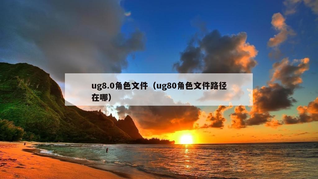 ug8.0角色文件（ug80角色文件路径在哪）