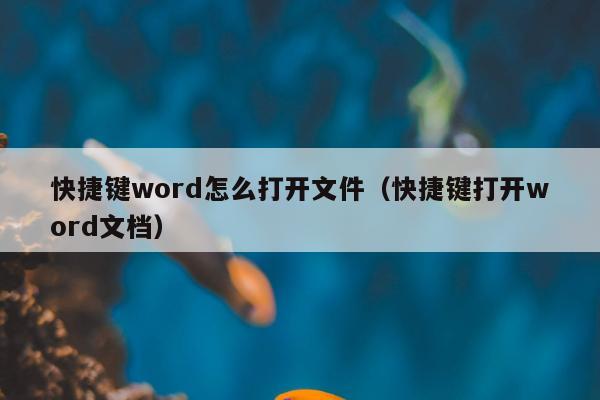 快捷键word怎么打开文件（快捷键打开word文档）