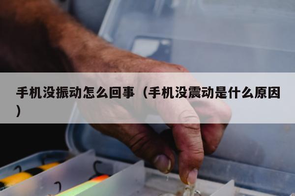 手机没振动怎么回事（手机没震动是什么原因）