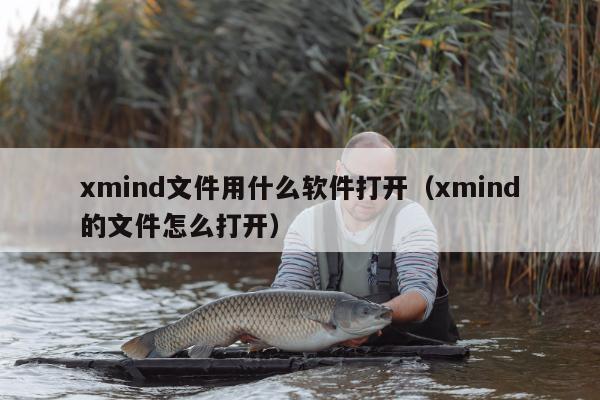 xmind文件用什么软件打开（xmind的文件怎么打开）