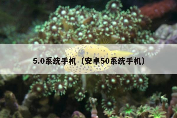 5.0系统手机（安卓50系统手机）