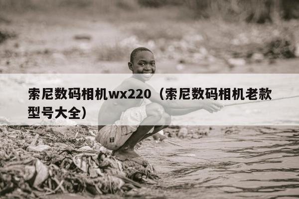 索尼数码相机wx220（索尼数码相机老款型号大全）