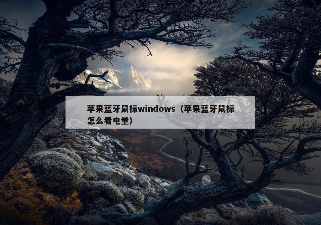 苹果蓝牙鼠标windows（苹果蓝牙鼠标怎么看电量）