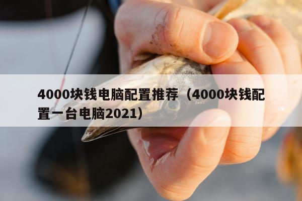 4000块钱电脑配置推荐（4000块钱配置一台电脑2021）