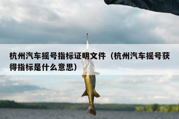 杭州汽车摇号指标证明文件（杭州汽车摇号获得指标是什么意思）