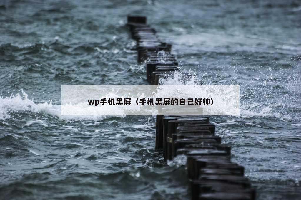 wp手机黑屏（手机黑屏的自己好帅）