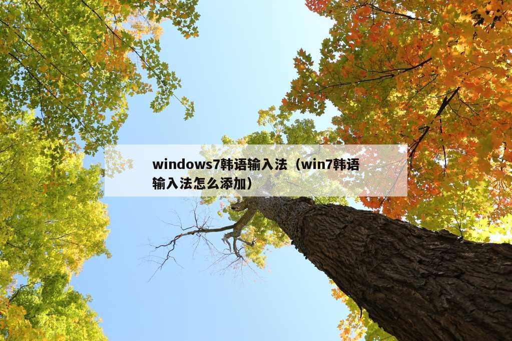 windows7韩语输入法（win7韩语输入法怎么添加）