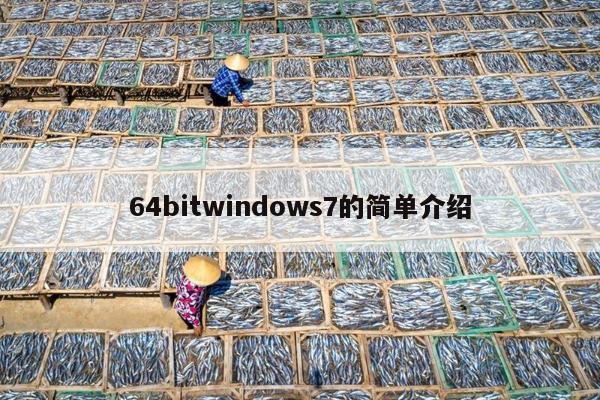 64bitwindows7的简单介绍