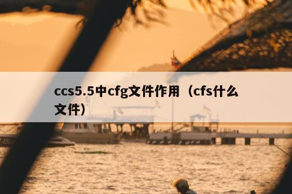 ccs5.5中cfg文件作用（cfs什么文件）