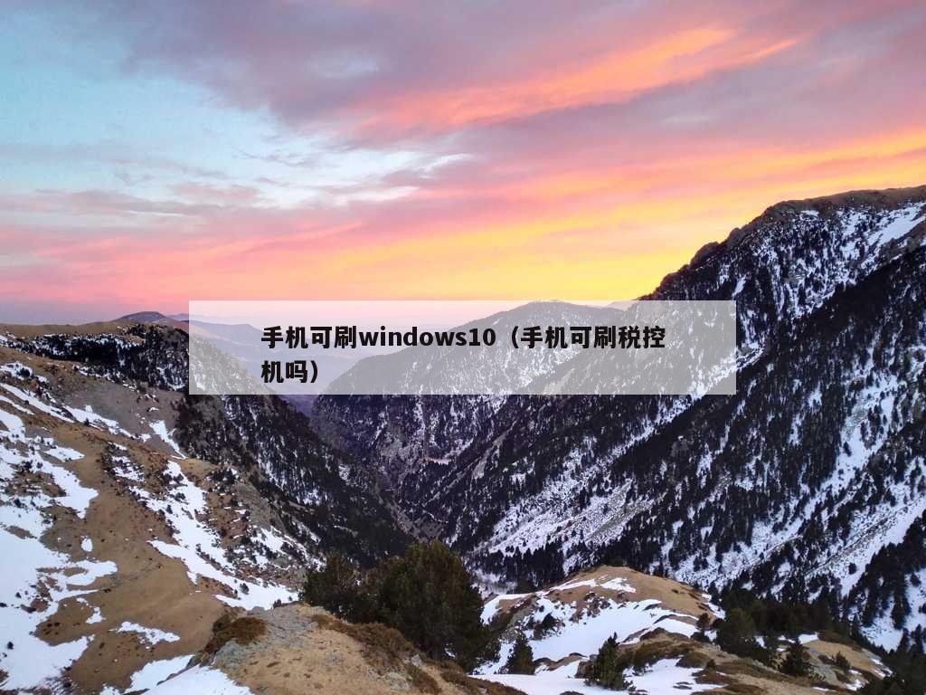 手机可刷windows10（手机可刷税控机吗）