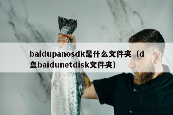 baidupanosdk是什么文件夹（d盘baidunetdisk文件夹）