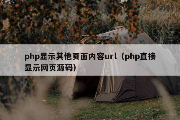 php显示其他页面内容url（php直接显示网页源码）