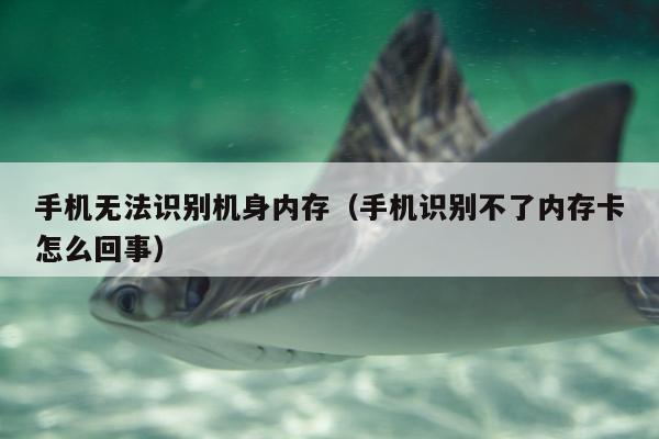 手机无法识别机身内存（手机识别不了内存卡怎么回事）