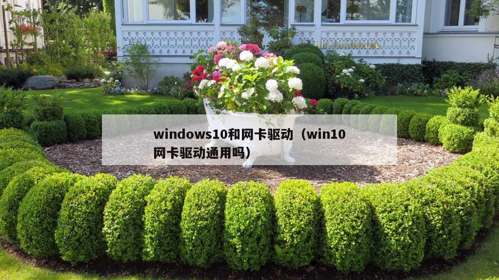 windows10和网卡驱动（win10网卡驱动通用吗）