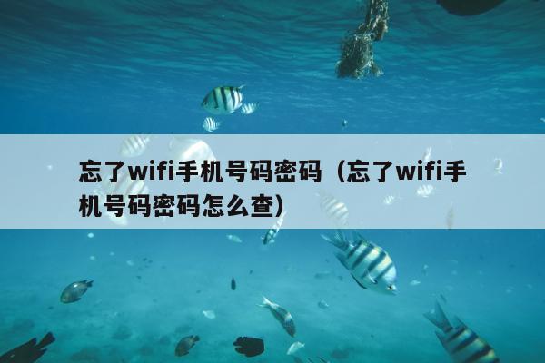 忘了wifi手机号码密码（忘了wifi手机号码密码怎么查）