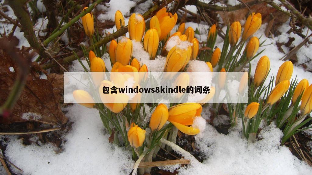 包含windows8kindle的词条