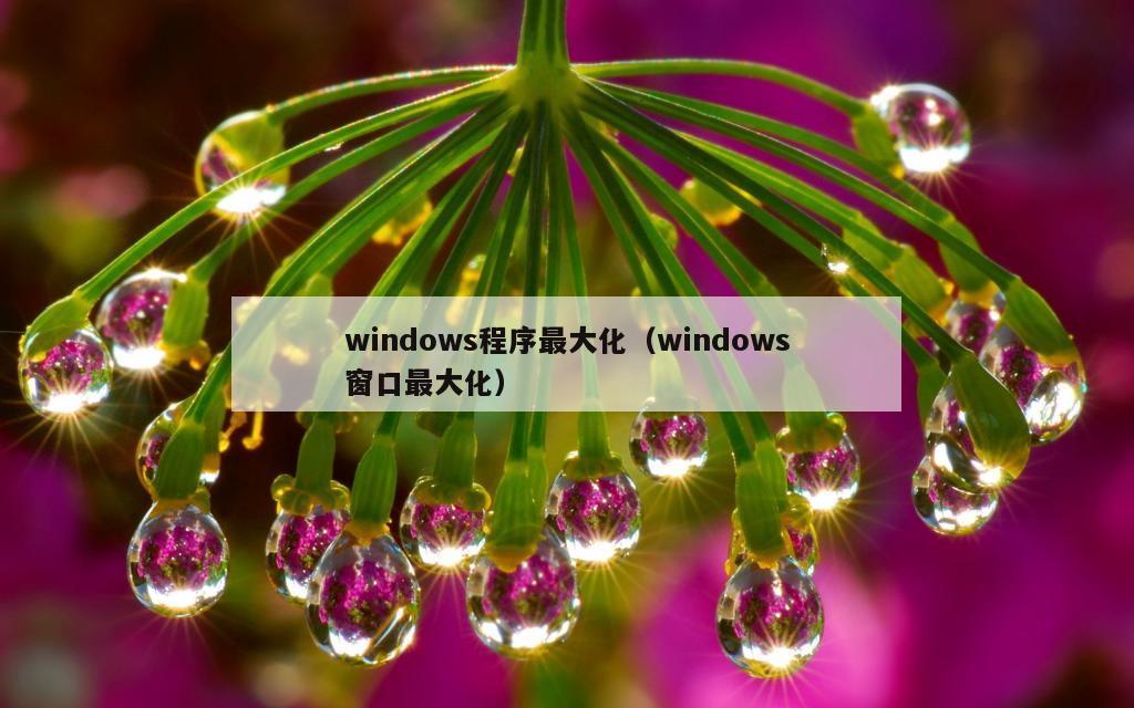 windows程序最大化（windows窗口最大化）