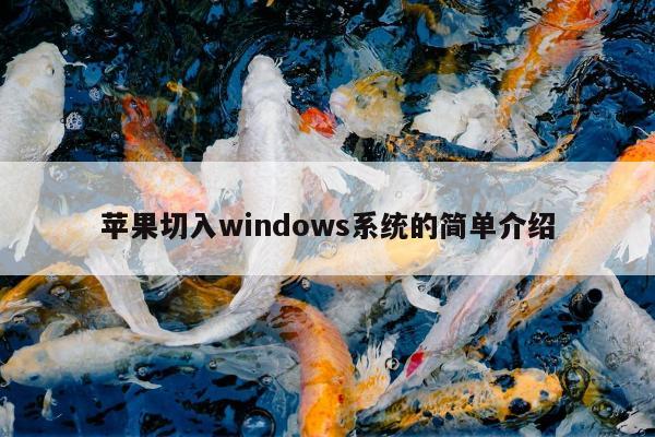 苹果切入windows系统的简单介绍