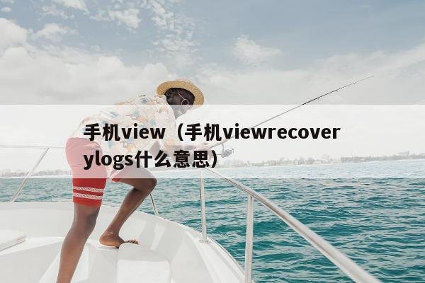 手机view（手机viewrecoverylogs什么意思）