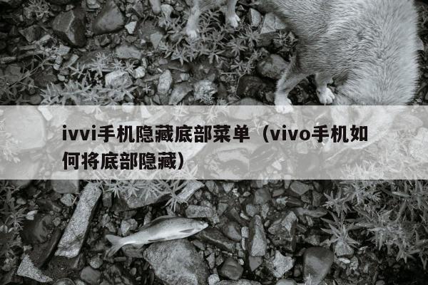 ivvi手机隐藏底部菜单（vivo手机如何将底部隐藏）