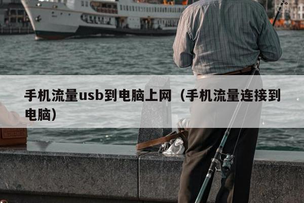 手机流量usb到电脑上网（手机流量连接到电脑）