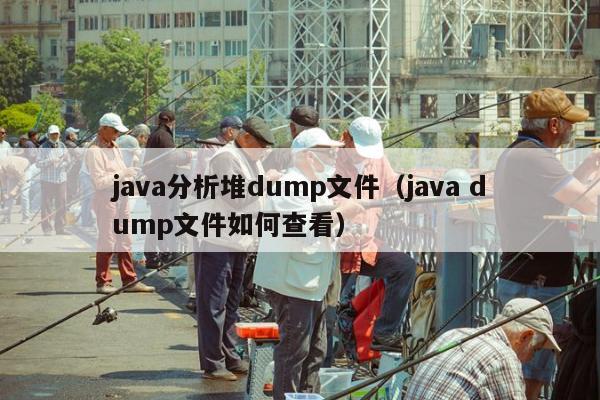 java分析堆dump文件（java dump文件如何查看）