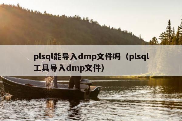 plsql能导入dmp文件吗（plsql工具导入dmp文件）