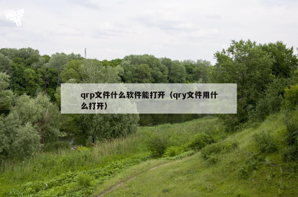 qrp文件什么软件能打开（qry文件用什么打开）