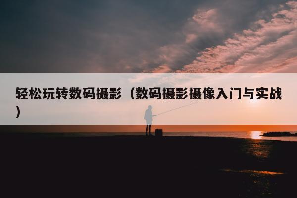 轻松玩转数码摄影（数码摄影摄像入门与实战）