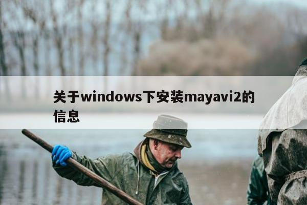 关于windows下安装mayavi2的信息