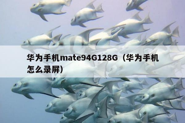 华为手机mate94G128G（华为手机怎么录屏）