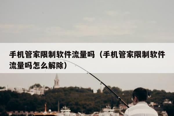 手机管家限制软件流量吗（手机管家限制软件流量吗怎么解除）