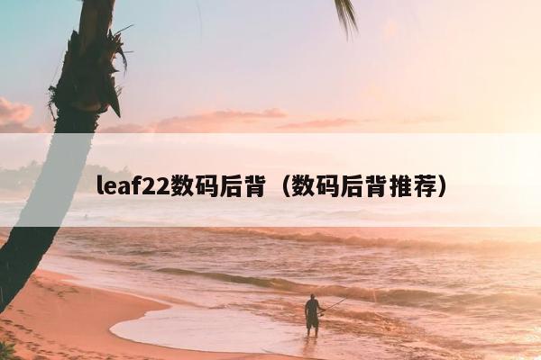 leaf22数码后背（数码后背推荐）