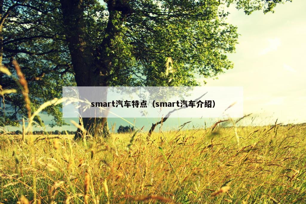 smart汽车特点（smart汽车介绍）