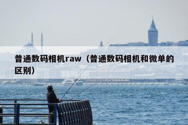 普通数码相机raw（普通数码相机和微单的区别）