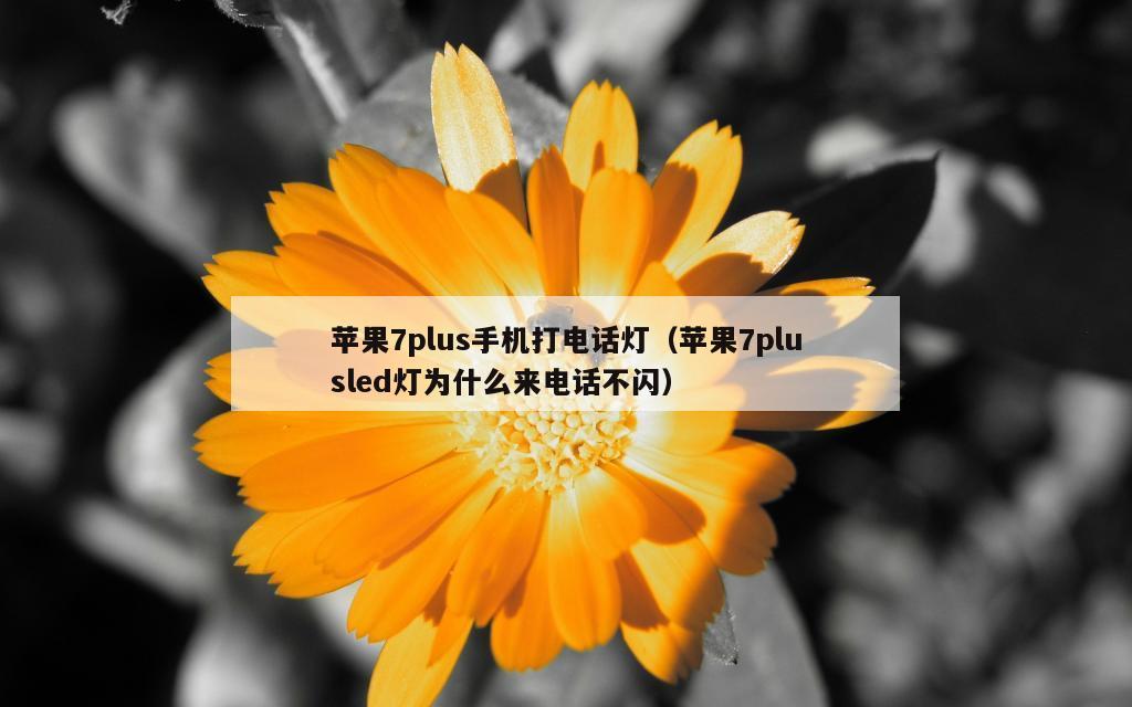 苹果7plus手机打电话灯（苹果7plusled灯为什么来电话不闪）