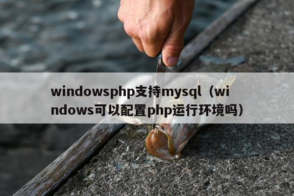 windowsphp支持mysql（windows可以配置php运行环境吗）