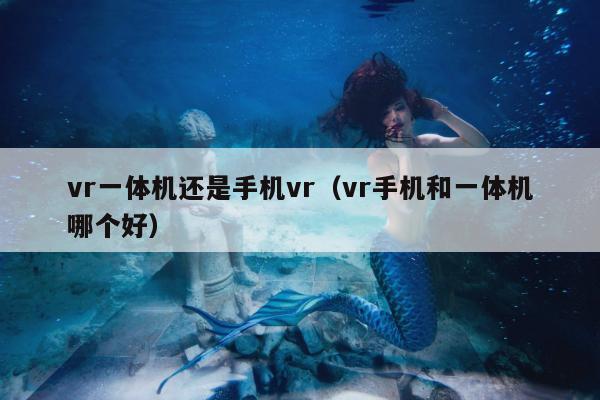 vr一体机还是手机vr（vr手机和一体机哪个好）