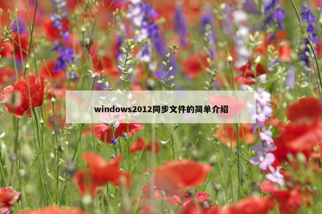 windows2012同步文件的简单介绍