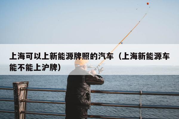 上海可以上新能源牌照的汽车（上海新能源车能不能上沪牌）