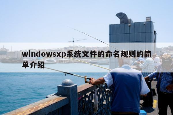 windowsxp系统文件的命名规则的简单介绍