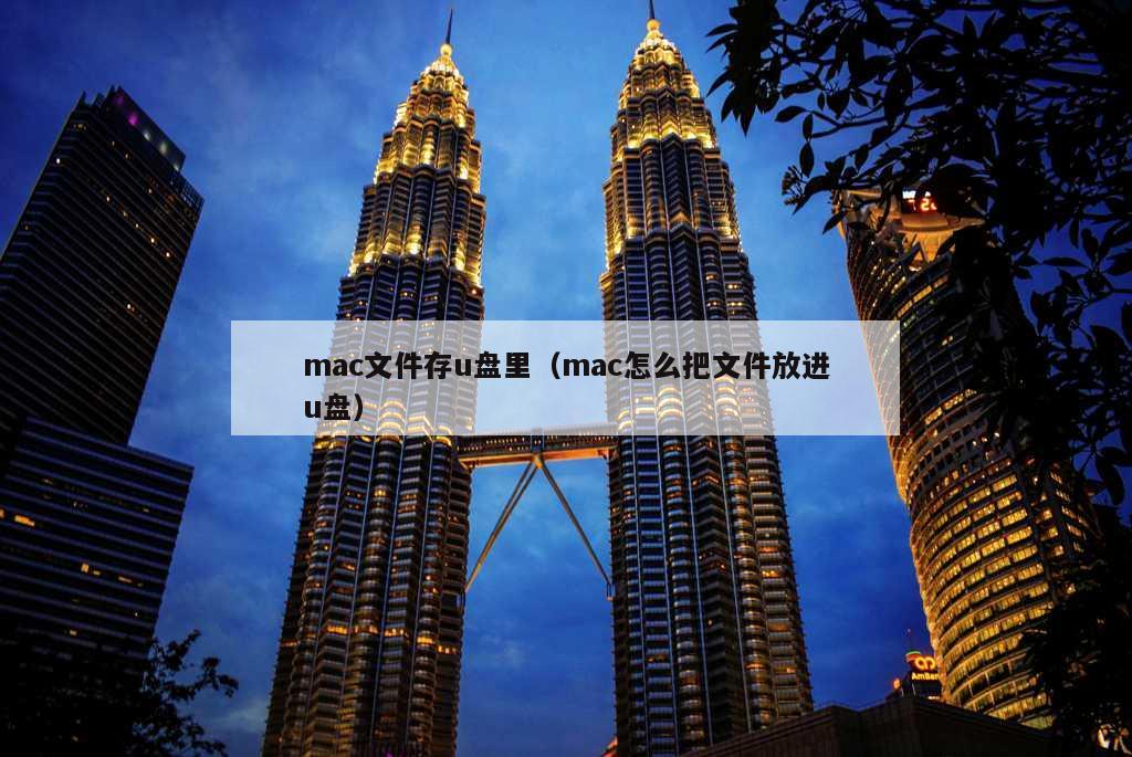 mac文件存u盘里（mac怎么把文件放进u盘）