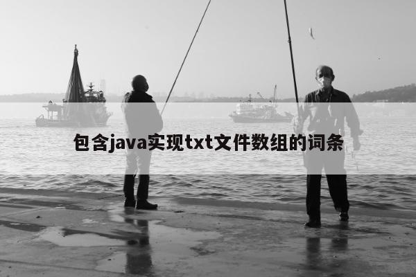 包含java实现txt文件数组的词条