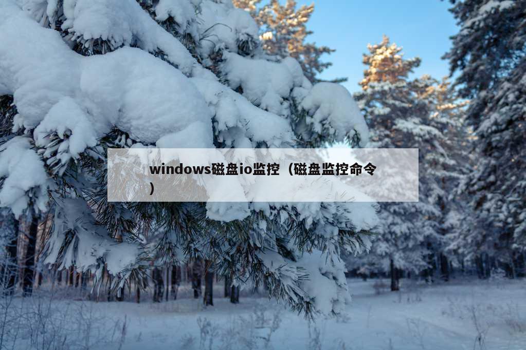 windows磁盘io监控（磁盘监控命令）